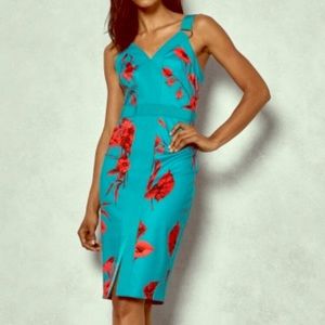Ted Baker Fantasia Dress